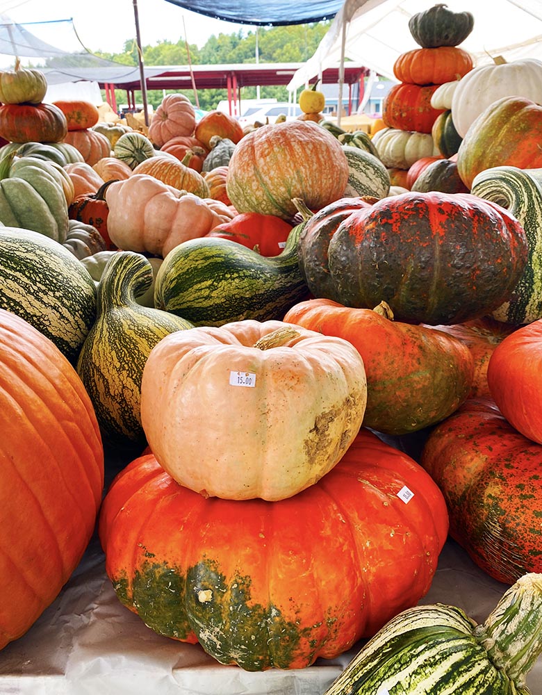 Farmers Market Pumpkins