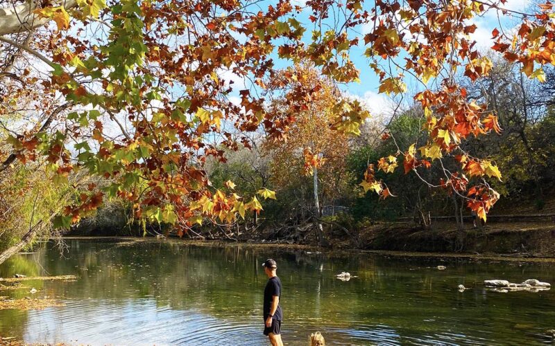 My Favorite Things to Do with Kids in Austin