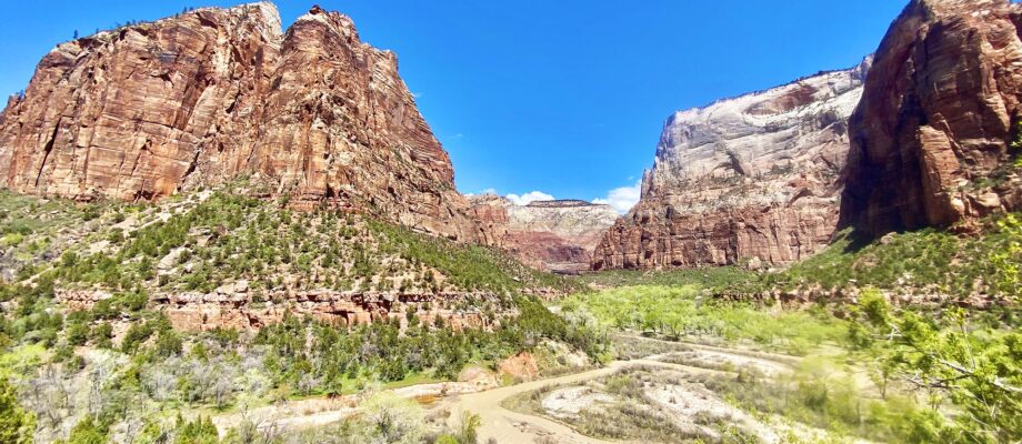 5 Fun Family-Friendly Hikes Near Zion National Park