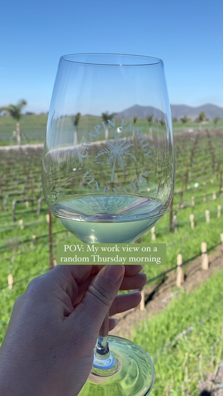 When wineries are closer to your kiddo’s pre-k than coffee shops! 🍾

Unintended consequences: A strong desire to continue sipping wine and staring at pretty rolling hills for the remainder of the day 😍

What’s one neat aspect of the area you live? 

#winecountry #remotework #myview #winelovers #temecula #californialiving #vineyard #pretty #socal #workfromanywheremom