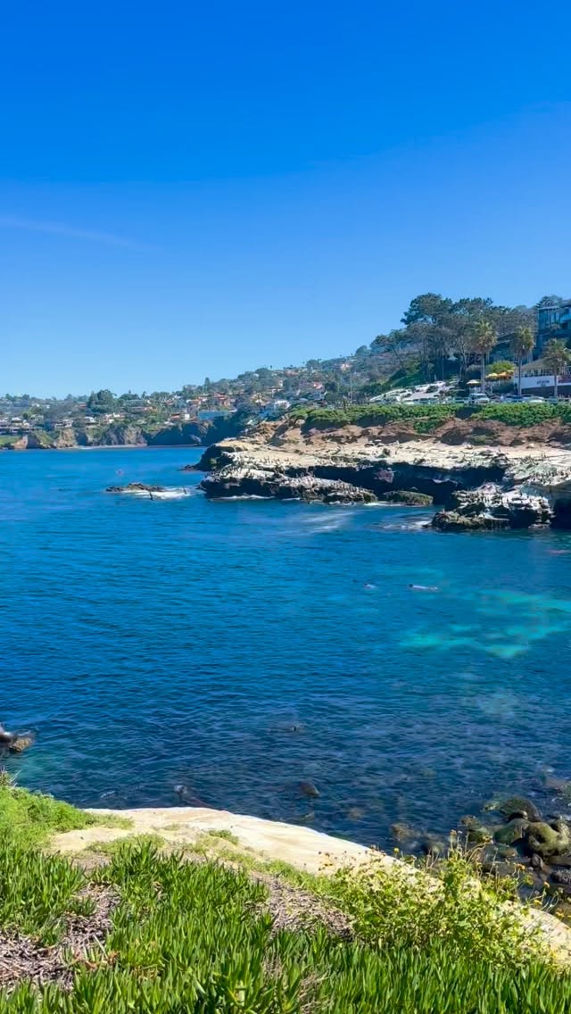 La Jolla is an ever popular area, but for good reason… It’s one of the most beautiful areas in San Diego ☀️ & my favorite time of year to visit is NOW when it’s Harbor Seals Pupping Season! 🦭

📍Casa Beach is closed off from humans from mid-December through mid-May for birthing & bonding, and most of the seal pups are born in February & March. They are so much fun to watch! 

#sandiego #animallovers #exploremore #lajolla #familyfun #sealsofinstagram #californiawinter