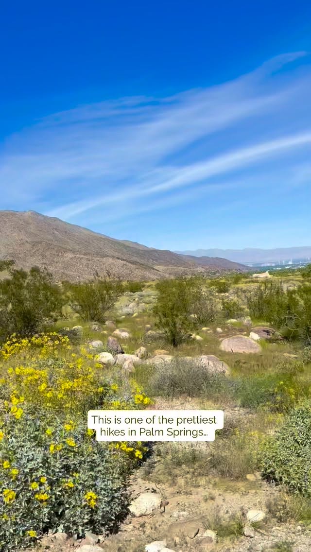 📍Murray Canyon Trail to Seven Falls is such a beautiful, scenic hike in Palm Springs 🌴

It features a palm tree oasis, rock scrambles & a number of stream crossings, which my daughter loved! When we hiked it last month, the water was high and FREEZING at the end 🥶 so bring your bathing suit if you like a cold plunge… This one was so much fun! ☀️

Details: 
🥾Murray Canyon Trail to Seven Falls
👣 4+ miles out & back
⛰️ About 600 ft elevation gain 
💲Must pay an entry fee at the Indian Canyons Toll Gate
❗️It was crowded when we arrived mid-morning & they do close temporarily when too many people are arriving. However, once we got to the parking lot, there was plenty of parking towards the back, closer to the trailhead. 

#palmsprings #californiatravel #hikingtrails #familytravel #hikingadventures #getoutside #kidswhoexplore #socal #roadtrip